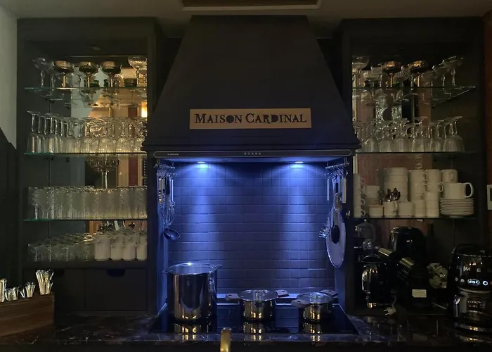 Maison Cardinal Furstemberg 別荘 *
